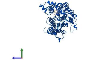 AlphaFold protein structure predicition of Human Recombinant DHCR7 Protein, UniprotID Q9UBM7