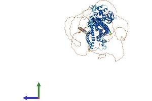 AlphaFold protein structure predicition of Human Recombinant SRGAP3 Protein, UniprotID O43295