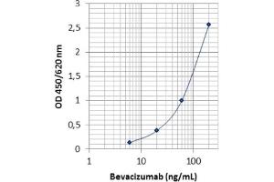 Image no. 1 for Bevacizumab Specific ELISA Kit (ABIN5012826)