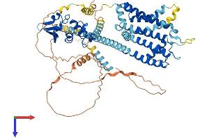 AlphaFold protein structure predicition of Mouse Recombinant Kcnd2 Protein, UniprotID Q9Z0V2