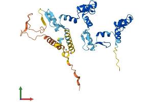 AlphaFold protein structure predicition of Human Recombinant ZNF124 Protein, UniprotID Q15973