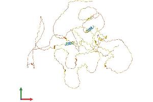AlphaFold protein structure predicition of Mouse Recombinant Amer2 Protein, UniprotID Q8CCJ4