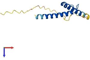 AlphaFold protein structure predicition of Mouse Recombinant Tal2 Protein, UniprotID Q62282
