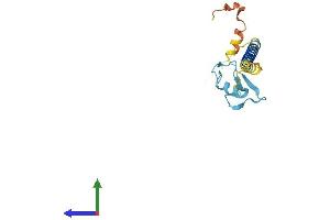AlphaFold protein structure predicition of Human Recombinant RNF24 Protein, UniprotID Q9Y225
