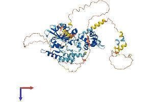AlphaFold protein structure predicition of Human Recombinant LSG1 Protein, UniprotID Q9H089