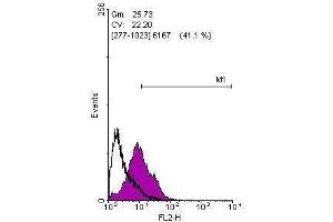 FACS Image Flow cytometry on human embryonic stem cells, staining with KLF4 ,antibody at 1:100 dilution(purple) or rabbit IgG (black).