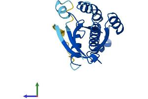 AlphaFold protein structure predicition of Human Recombinant IFT27 Protein, UniprotID Q9BW83