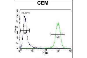 Flow cytometric analysis of CEM cells (right histogram) compared to a negative control cell (left histogram).