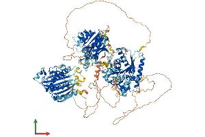 AlphaFold protein structure predicition of Mouse Recombinant Pitpnm1 Protein, UniprotID O35954