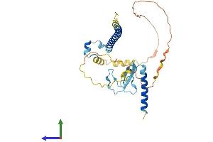 AlphaFold protein structure predicition of Mouse Recombinant Cdca8 Protein, UniprotID Q8BHX3