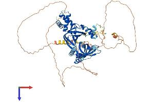 AlphaFold protein structure predicition of Mouse Recombinant Rmi1 Protein, UniprotID Q9D4G9