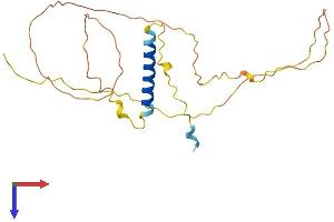AlphaFold protein structure predicition of Human Recombinant GAP43 Protein, UniprotID P17677