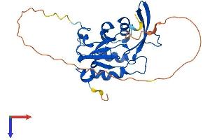 AlphaFold protein structure predicition of Human Recombinant CTDSP1 Protein, UniprotID Q9GZU7