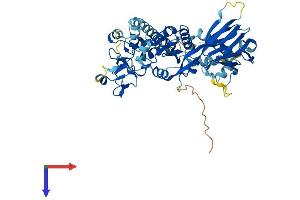AlphaFold protein structure predicition of Mouse Recombinant Dgke Protein, UniprotID Q9R1C6