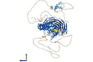 AlphaFold protein structure predicition of Human Recombinant WDHD1 Protein, UniprotID O75717