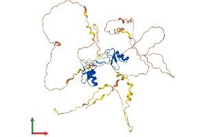 AlphaFold protein structure predicition of Human Recombinant GATA2 Protein, UniprotID P23769