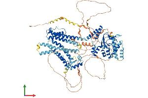 AlphaFold protein structure predicition of Human Recombinant HCN2 Protein, UniprotID Q9UL51