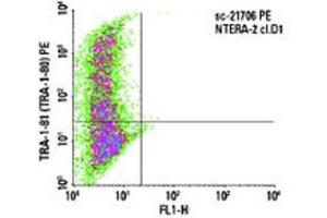Indirect FCM analysis of NTERA-2 cl. (TRA1-81 anticorps)