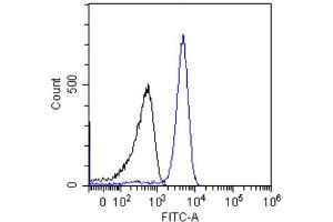 Flow-cytometry using the anti-p53 antibody (ABIN5668085) Jurkat cells were stained with unimmunized rabbit IgG antibody (black line) at a concentration of 10 µg/ml for 30 mins at RT.