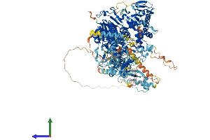 AlphaFold protein structure predicition of Human Recombinant POLG Protein, UniprotID P54098