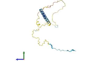 AlphaFold protein structure predicition of Mouse Recombinant Gapt Protein, UniprotID Q8CB93