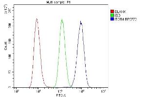 Flow Cytometry analysis of Raji cells using anti-Integrin beta 4/ITGB4 antibody (ABIN7601135). (Integrin beta 4 anticorps  (AA 29-431))