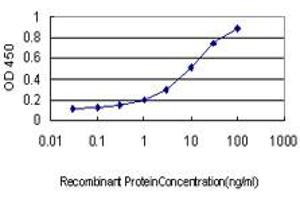 Detection limit for recombinant GST tagged SH2D3C is approximately 0. (SH2D3C anticorps  (AA 1-110))
