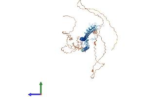 AlphaFold protein structure predicition of Mouse Recombinant Trim29 Protein, UniprotID Q8R2Q0