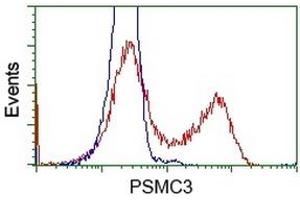 HEK293T cells transfected with either RC201790 overexpress plasmid (Red) or empty vector control plasmid (Blue) were immunostained by anti-PSMC3 antibody (ABIN2453538), and then analyzed by flow cytometry.