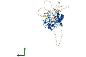 AlphaFold protein structure predicition of Human Recombinant TLK1 Protein, UniprotID Q9UKI8