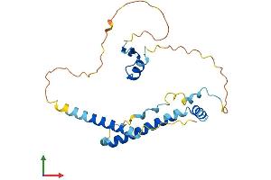 AlphaFold protein structure predicition of Mouse Recombinant Lin37 Protein, UniprotID Q9D8N6