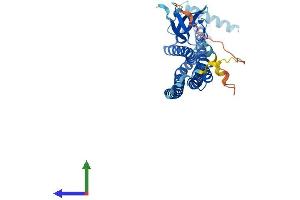 AlphaFold protein structure predicition of Mouse Recombinant Sh3gl2 Protein, UniprotID Q62420