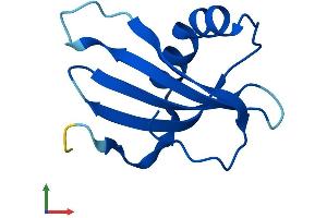 AlphaFold protein structure predicition of Human Recombinant CSTA Protein, UniprotID P01040