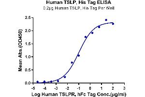 ELISA image for Thymic Stromal Lymphopoietin (TSLP) (AA 29-159) protein (His-Avi Tag) (ABIN7275805)