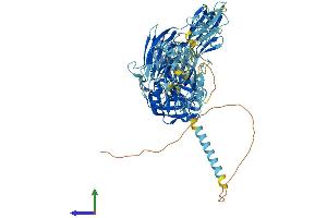 AlphaFold protein structure predicition of Human Recombinant ST14 Protein, UniprotID Q9Y5Y6