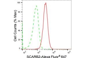Flow cytometric analysis of SCARB2 expression in C2C12 cells using SCARB2 antibody (ABIN7800277), 1:2,000). (Recombinant SCARB2 anticorps)