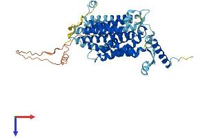 AlphaFold protein structure predicition of Human Recombinant CDS1 Protein, UniprotID Q92903