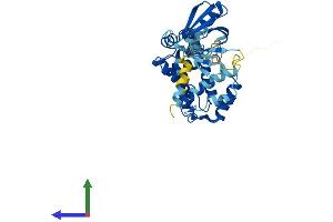 AlphaFold protein structure predicition of Human Recombinant CYTH4 Protein, UniprotID Q9UIA0