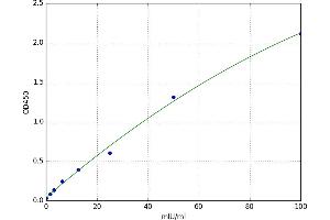 Heme Oxygenase (Decycling) 2 (HMOX2) ELISA Kit