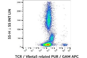 Flow cytometry analysis (surface staining) of human peripheral blood cells with anti-human TCR Vbeta5. (TCR beta (Vbeta5.3-Related) anticorps)
