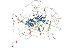 AlphaFold protein structure predicition of Human Recombinant PER3 Protein, UniprotID P56645