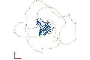 AlphaFold protein structure predicition of Mouse Recombinant Mllt3 Protein, UniprotID A2AM29