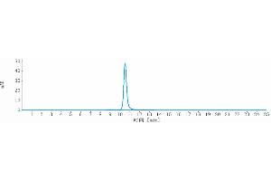 The purity of Anti-ERBB3 / HER3 Reference Antibody (seribantumab) is more than 95 % , determined by SEC-HPLC.
