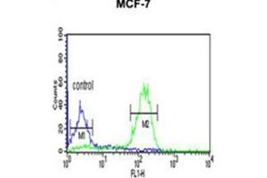 Fllow cytometric analysis of MCF-7 cells using LUC7L2 Antibody (C-term) Cat. (LUC7L2 anticorps  (C-Term))