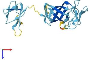 AlphaFold protein structure predicition of Mouse Recombinant Exosc1 Protein, UniprotID Q9DAA6