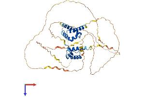 AlphaFold protein structure predicition of Mouse Recombinant Pou2f2 Protein, UniprotID Q00196