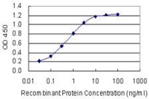 Detection limit for recombinant GST tagged MAFF is 0.