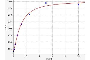 Typical standard curve (STXBP1 Kit ELISA)