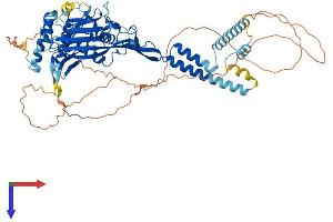 AlphaFold protein structure predicition of Mouse Recombinant Scnn1a Protein, UniprotID Q61180