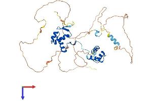 AlphaFold protein structure predicition of Human Recombinant PAX2 Protein, UniprotID Q02962